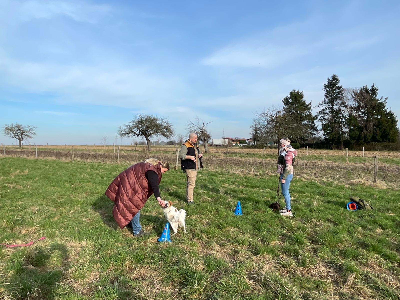 Hundetraining in Usingen mit Verhaltensberatung und Beratung für Jagdhunde